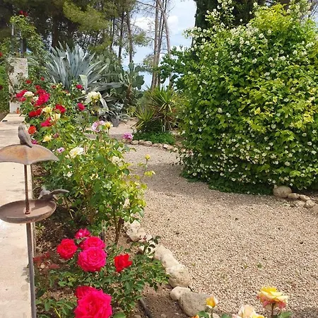 Gospodarstwo wiejskie Casa Del Riu