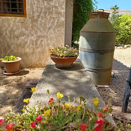 Casa Del Riu *