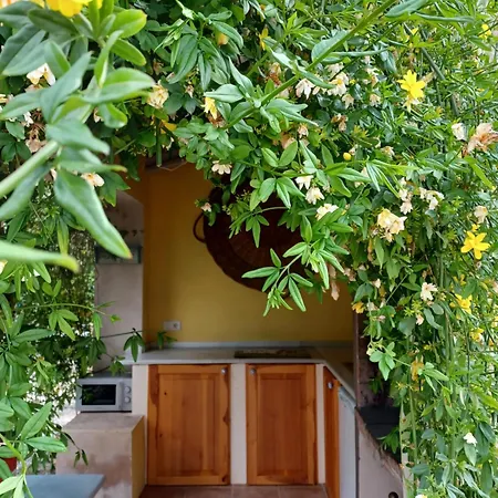 Casa Del Riu Benejama