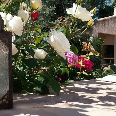 Casa Del Riu
