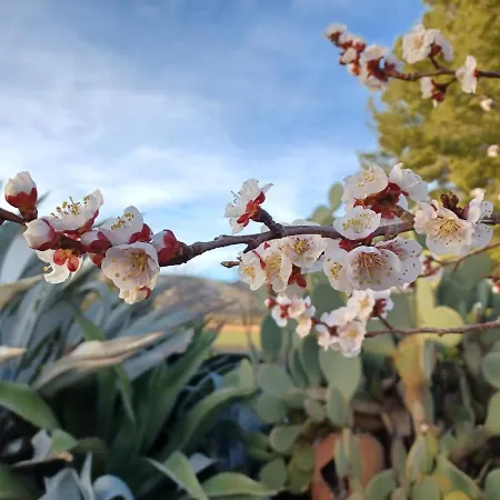 Séjour à la campagne Casa Del Riu *