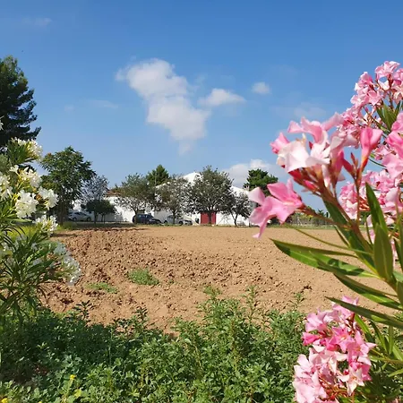 Séjour à la campagne Casa Del Riu *